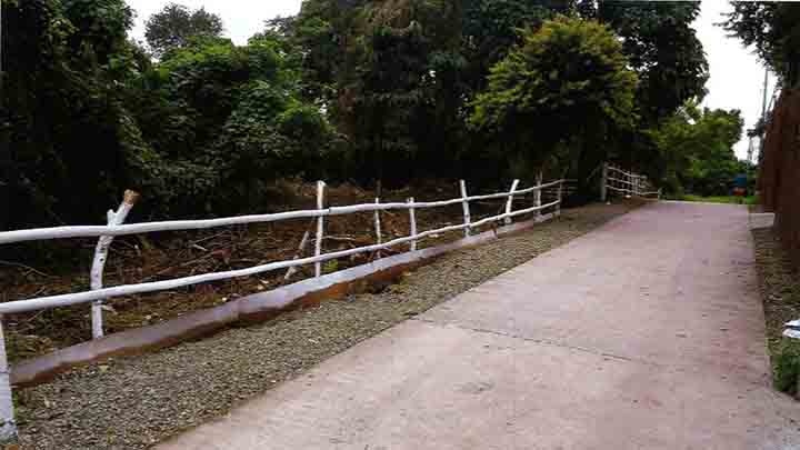 2.6-hectare Land for Sale in Lipa, Batangas